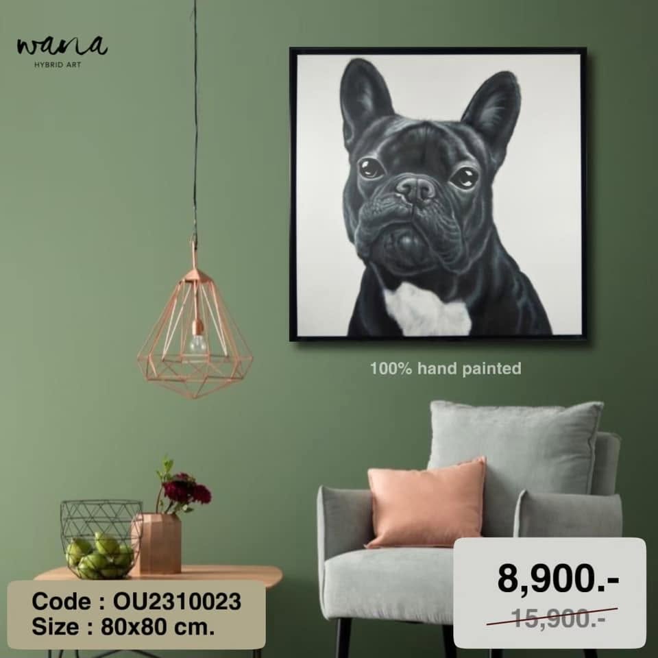 Picture of a dog