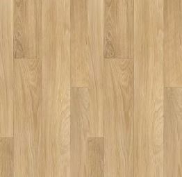 Plank