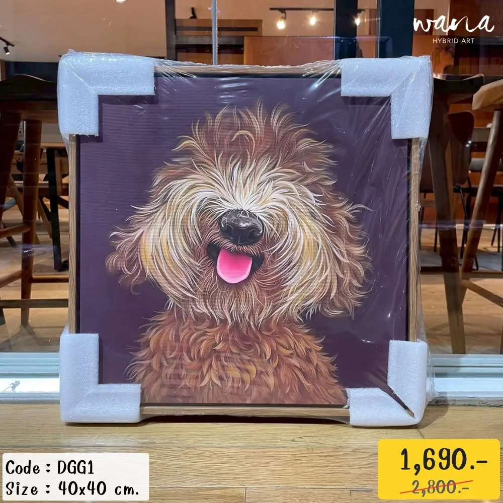 Shaggy Brown Dog Licking