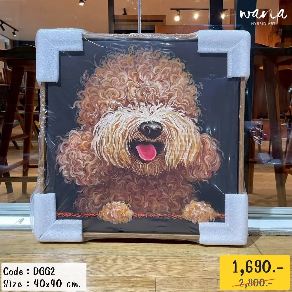 Curly Brown Dog