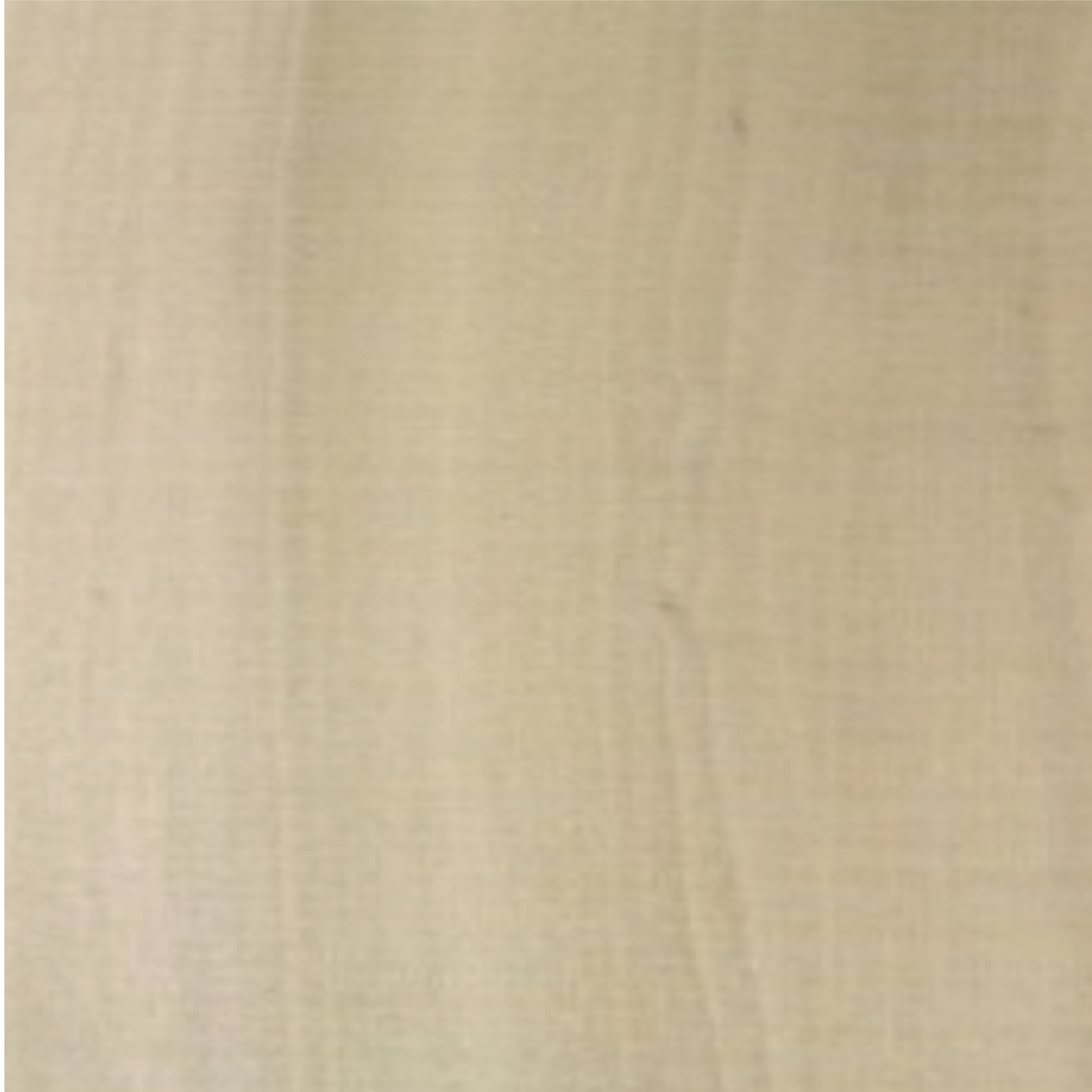 Poplar